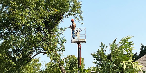 Liberty Tree Outdoors. Serving the Arkansas River Valley & Northwest Arkansas