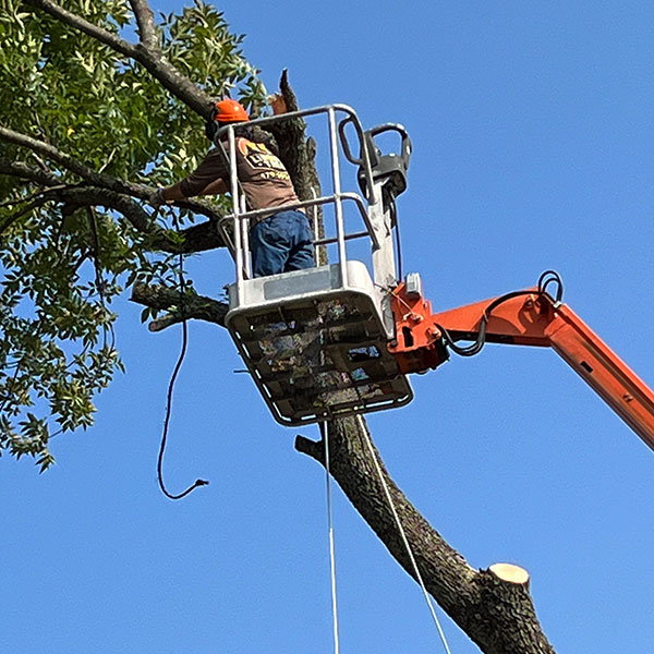 Liberty Tree Outdoors. Serving the Arkansas River Valley & Northwest Arkansas